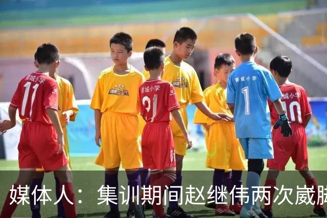 媒体人：集训期间赵继伟两次崴脚 大秋三宁李弘权高诗岩也都带伤